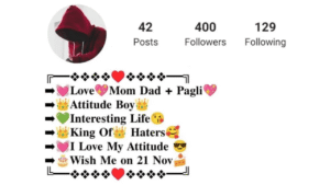 Instagram Bio For Boys Attitude