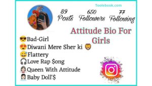 Instagram Bio For Girls Attitude